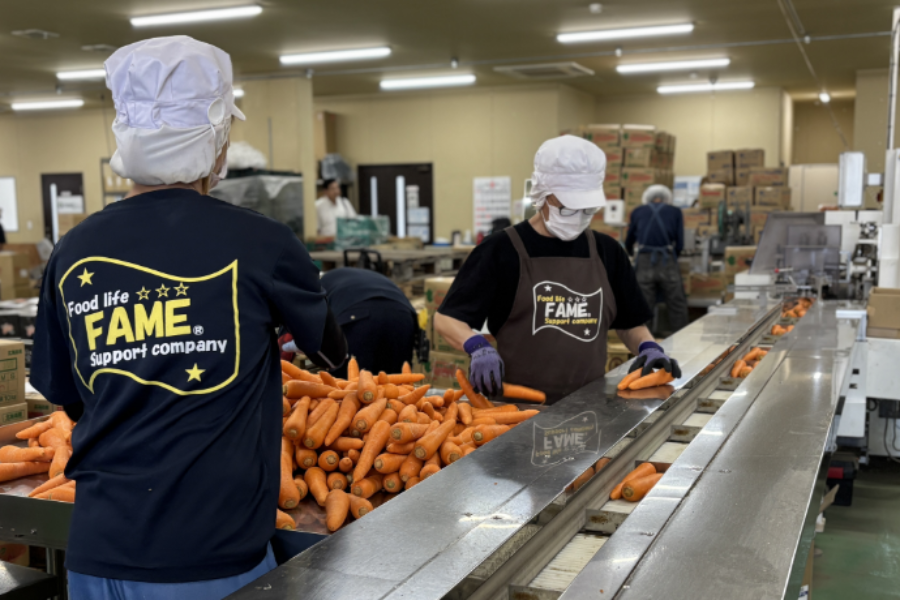 欢迎日语初学者，第一次也可以 [水果和蔬菜装袋工作人员] 外国人很活跃