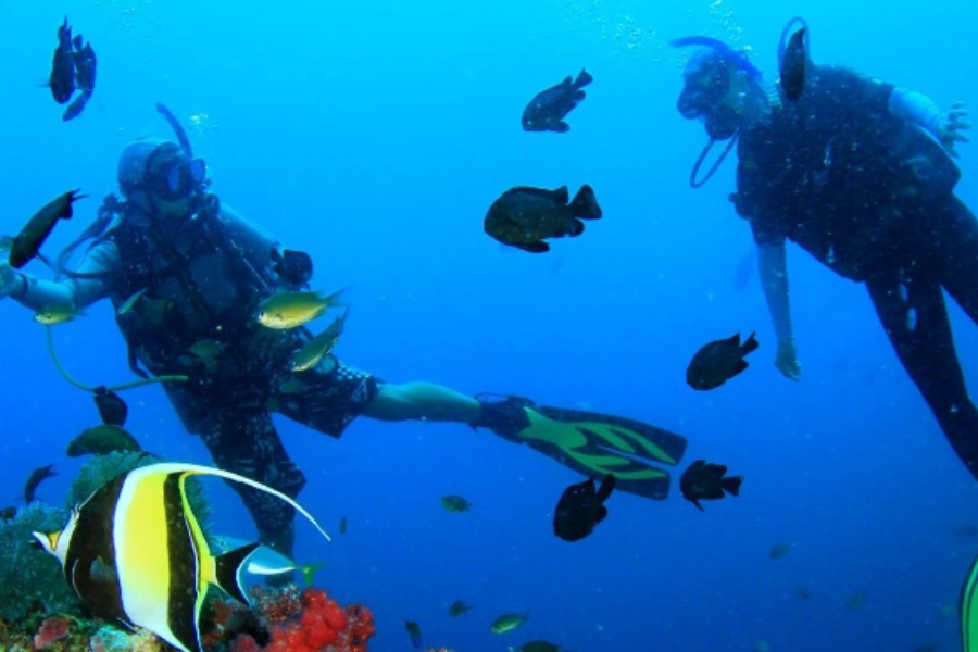 雇用全职员工 [没有经验的OK，潜水教练和口译工作] 也可以获得资格