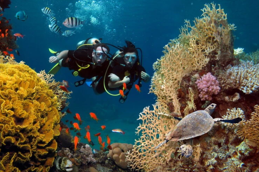 韩语使用者欢迎 [潜水店口译和客户服务及SNS运营] 可预约全职员工