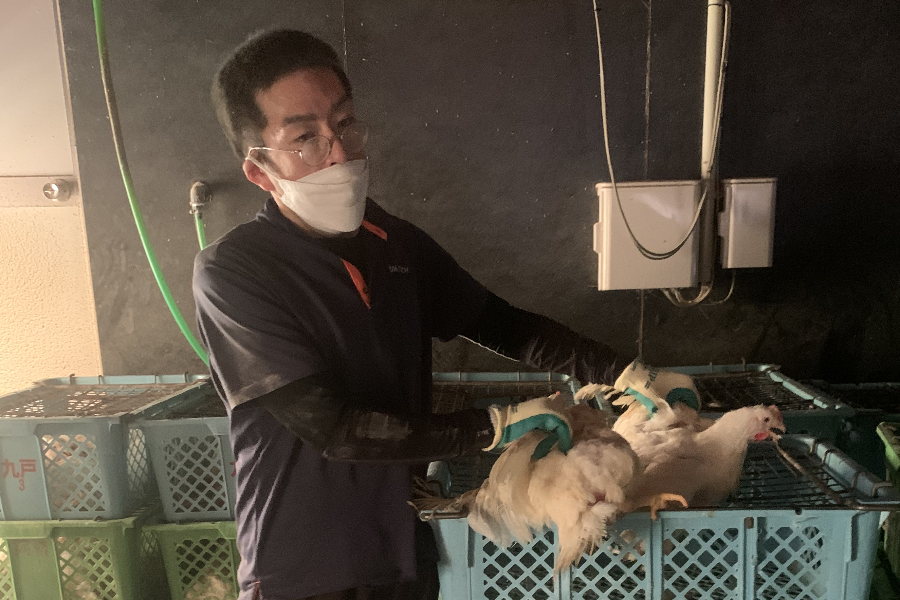 Trabalho fácil de lembrar ★ Dormitório totalmente equipado ★ [Trabalho de carregamento de frango] Iniciantes japoneses são bem-vindos e podem economizar dinheiro ‼