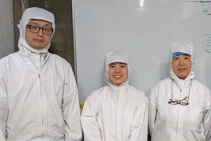 Equipe de produção da famosa confeitaria “Yatsuhashi” de Kyoto/inexperiente OK/iniciante em japonês OK
