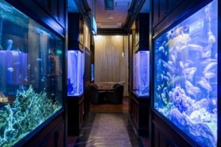 Empregado contratado [Kitashinchi] Recrutamento de funcionários do Aquarium Dining Hall /3471-3-H