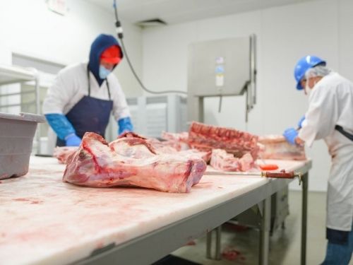 Poultry processing and preparation for shipment of meat and processed food
