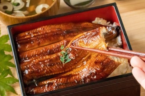 [Đồ ăn Nhật Bản] [Lươn] Nhà bếp và sảnh của chuỗi cửa hàng lươn với hơn 300 cửa hàng