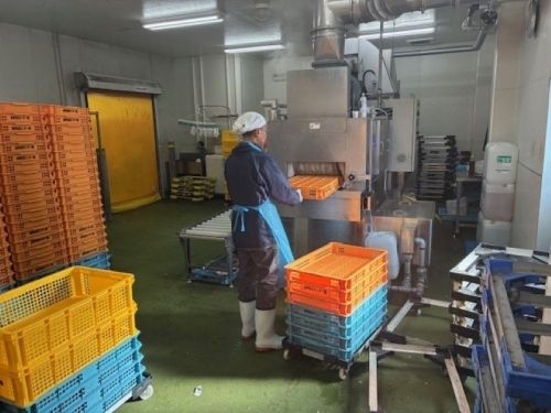 O trabalho de lavar recipientes em uma fábrica/Tarefa simples e fácil de memorizar/Pessoas que podem trabalhar na quinta-feira também são bem-vindas