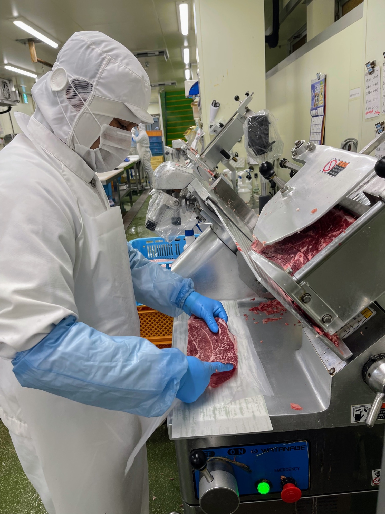 [Inexperienced people Over 10 foreigners are active! Monthly