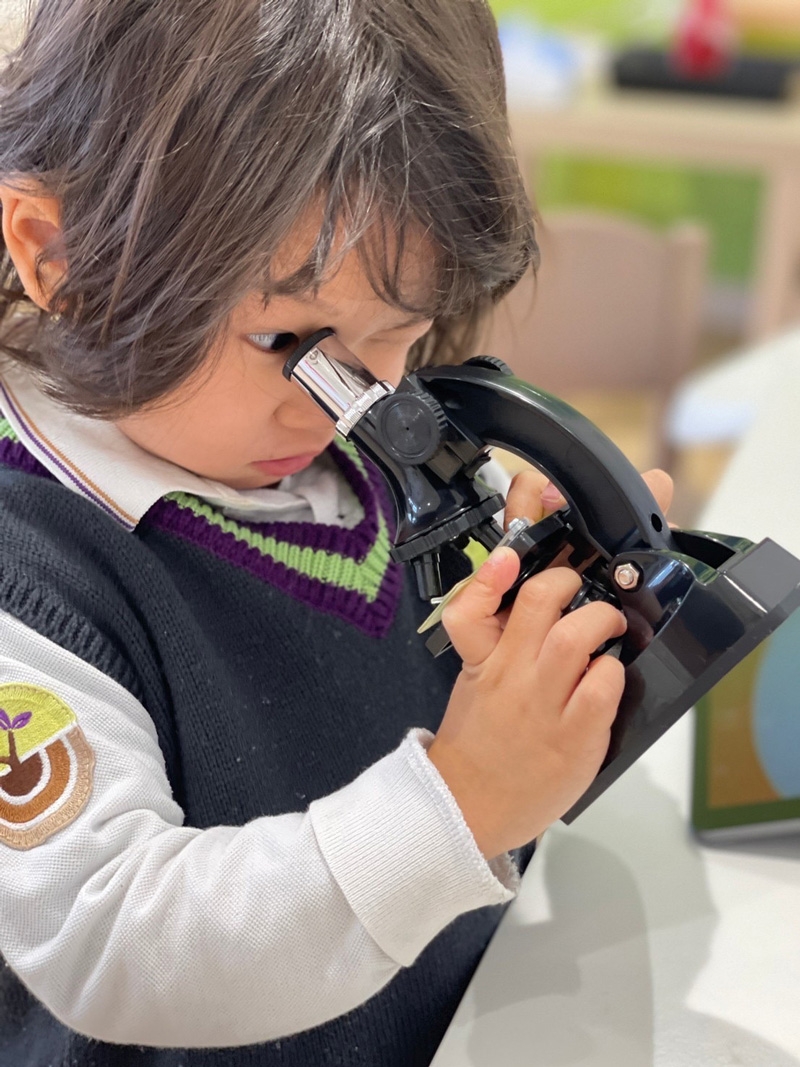 [Toddler English Teacher] People with international school experience