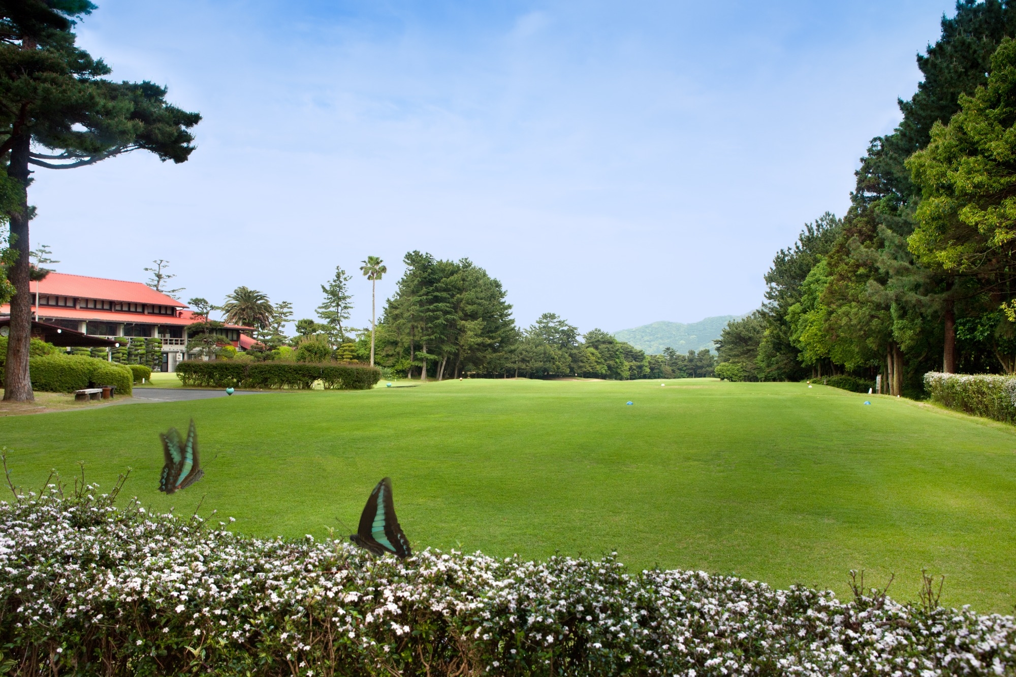 You can start with no experience! golf course caddy jobs一般社団法人門司ゴルフ倶楽部FukuokaCaddyContract