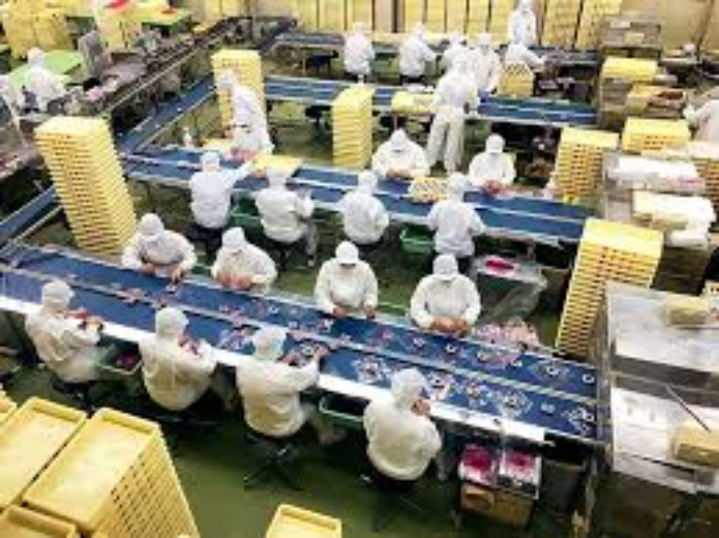 食品工場 しょくひんこうじょう でもりつけライン作業 株式会社マックス Hyogomanufacturing Staff Temporary Employee Yolo Japan